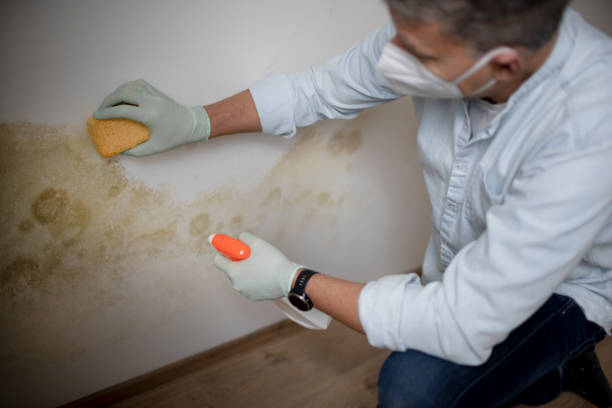 Water Damage Restoration in Sutherland, NE