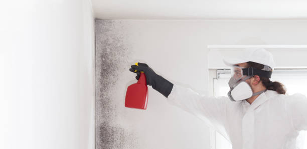 Best Emergency Mold Removal  in Sutherland, NE