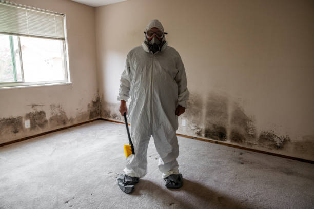 Best Office Mold Removal Services  in Sutherland, NE